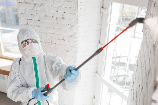 Mold Odor Removal Services in Winner, SD