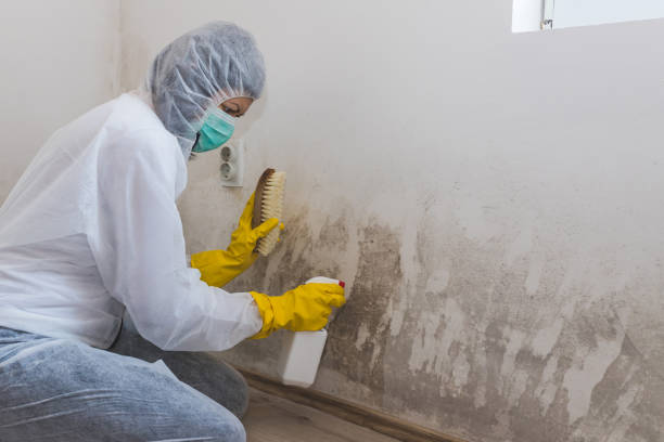 Winner, SD Mold Removal Company